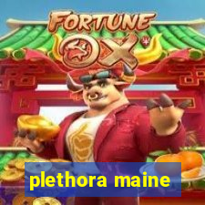 plethora maine